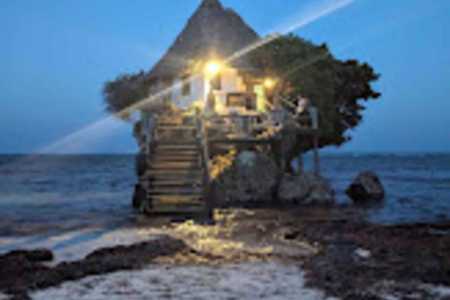 ZANZIBAR: Foresta di Jozani, Laguna Blu, pesci stella e The Rock