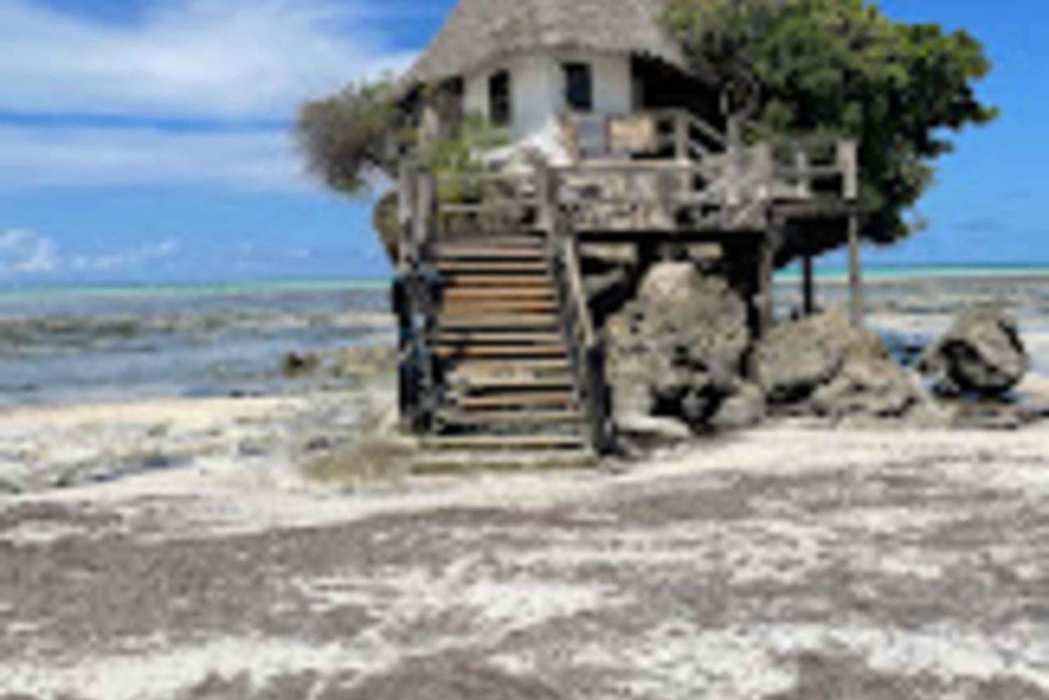 ZANZIBAR: Foresta di Jozani, Laguna Blu, pesci stella e The Rock