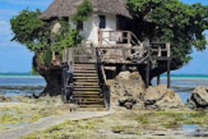 ZANZIBAR: Foresta di Jozani, Laguna Blu, pesci stella e The Rock