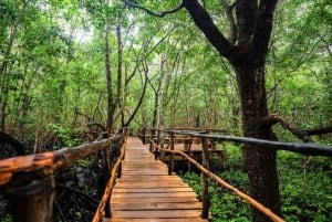 ZANZIBAR: Foresta di Jozani, Laguna Blu, pesci stella e The Rock