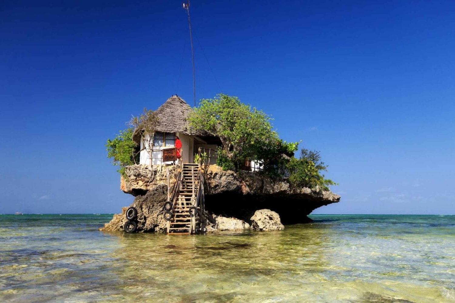 Zanzibar: Jozani-skoven, Den Blå Lagune, The Rock og Kuza-grotten