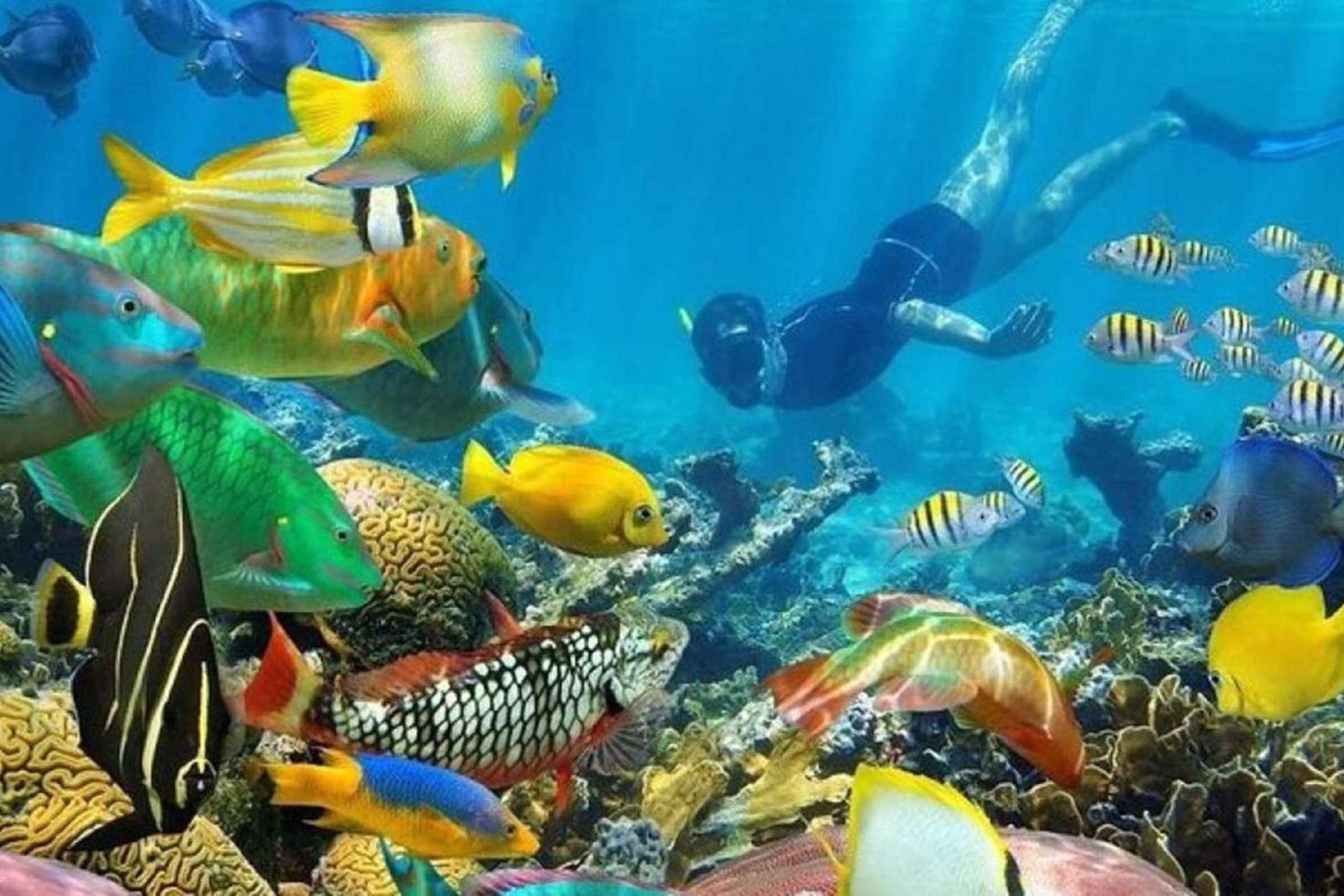 Zanzibar: las Jozani, Błękitna Laguna, The Rock i jaskinia Kuza