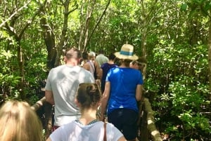 Zanzibar: Jozanin metsä, Sininen laguuni, The Rock ja Kuza-luola