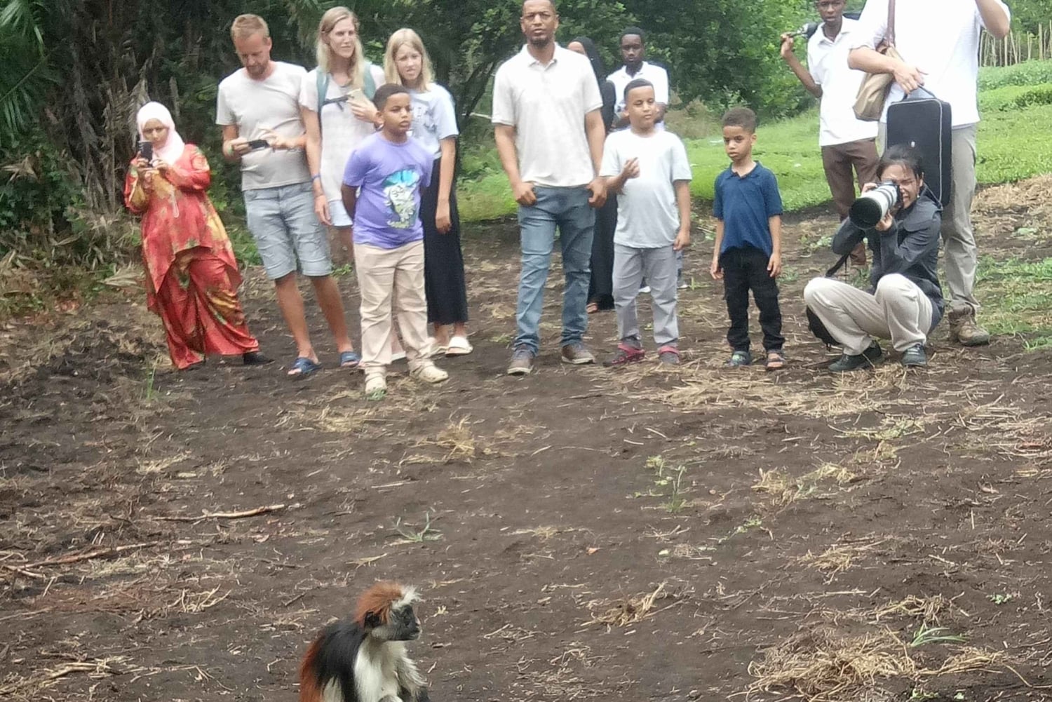 Zanzibar: Jozani-skoven, sommerfuglecenter og Mtende-stranden