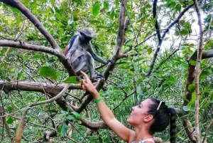 Zanzibar: Jozani-skogen, fjärilscentret och Mtende-stranden