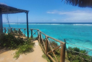 Zanzibar: Jozani-skogen, fjärilscentret och Mtende-stranden