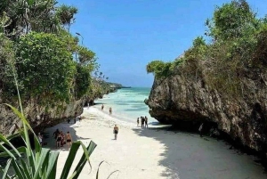 Zanzibar: Jozani-skogen, fjärilscentret och Mtende-stranden