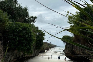 Zanzibar: Jozani-skogen, fjärilscentret och Mtende-stranden