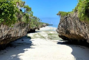 Sansibar: Jozani-Wald, Schmetterlingszentrum und Mtende-Strand