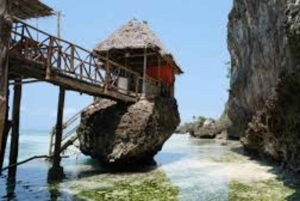 ЗАНЗИБАР: Лес Джозани, центр бабочек и пляж Мтенде