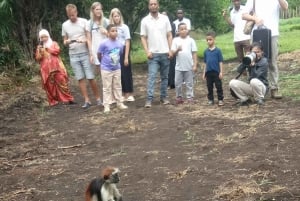 Zanzibar: Jozani-skoven, sommerfuglecenter og Mtende-stranden