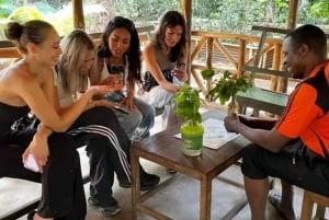 Zanzibar: Floresta Jozani, Centro de Borboletas e Tour de Apicultura