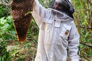 Zanzibar: Jozani-skogen, fjärilscenter och biodlingstur