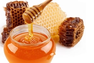 Zanzibar: Jozani-skogen, fjärilscenter och biodlingstur