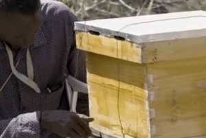 Zanzibar: Jozani-skogen, fjärilscenter och biodlingstur