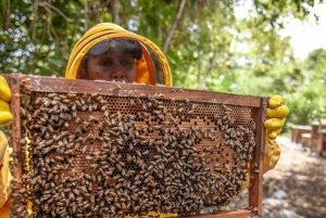 Zanzibar: Jozani-skogen, fjärilscenter och biodlingstur