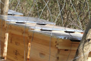 Zanzibar: Jozani-skogen, fjärilscenter och biodlingstur