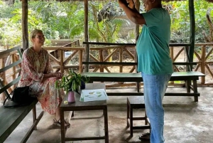 Zanzibar: Jozani-skogen, fjärilscenter och biodlingstur