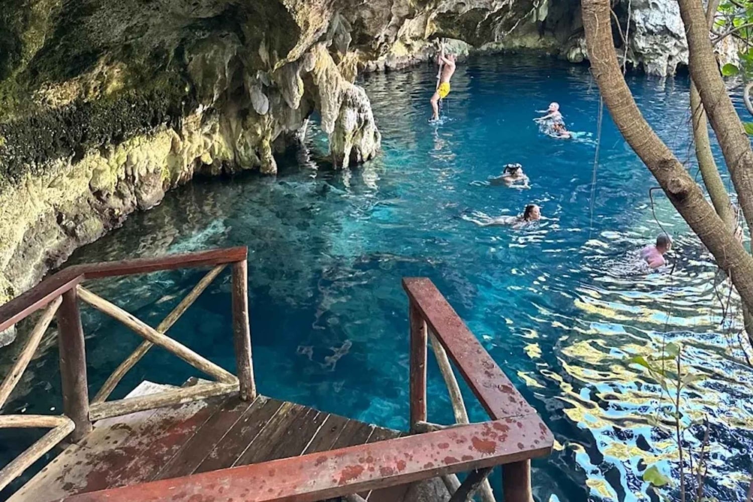 Zanzibar: las Jozani, centrum motyli i wycieczka do jaskini Maalum