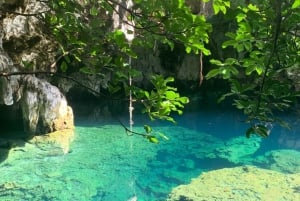 Sansibar: Jozani-Wald, Schmetterlingszentrum und Maalum-Höhlen-Tour