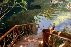 Sansibar: Jozani-Wald, Schmetterlingszentrum und Maalum-Höhlen-Tour