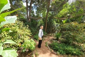 Zanzibar: las Jozani, centrum motyli i wycieczka do jaskini Maalum