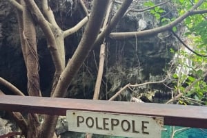 Zanzibar: las Jozani, centrum motyli i wycieczka do jaskini Maalum