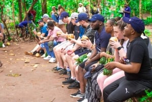 Zanzibar: las Jozani, centrum motyli i wycieczka do jaskini Maalum