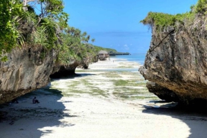Sansibar: Jozani-Wald, Schmetterlingszentrum und Mtende-Strand-Tour