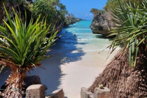 Sansibar: Jozani-Wald, Schmetterlingszentrum und Mtende-Strand-Tour