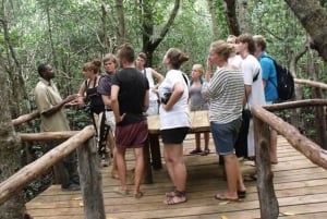 Sansibar: Jozani-Wald, Schmetterlingszentrum und Mtende-Strand