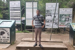 Zanzibar: Jozani-bos, vlindercentrum & Rock Restaurant