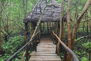 Zanzibar: Jozani-bos, vlindercentrum & Rock Restaurant