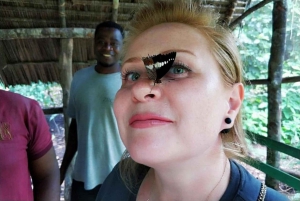 Zanzibar: Jozani-bos, vlindercentrum & Rock Restaurant