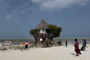 Zanzibar: Floresta Jozani, Centro de Borboletas e Restaurante Rock