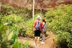 Zanzibar: Floresta Jozani, Centro de Borboletas e Restaurante Rock