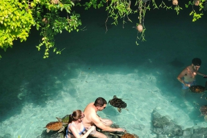 Zanzibar: Jozani-skoven, sommerfuglecenter og Salaam-grottetur