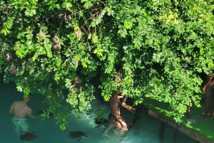 Zanzibar: Jozani-skoven, sommerfuglecenter og Salaam-grottetur