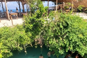 Zanzibar: Jozani-skoven, sommerfuglecenter og Salaam-grottetur