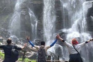 Zanzibar: scopri la foresta di Jozani, il centro delle farfalle e la grotta di Salaam