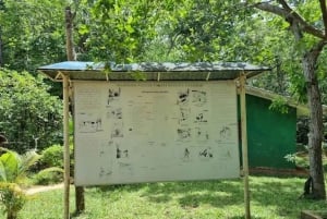 Zanzibar: scopri la foresta di Jozani, il centro delle farfalle e la grotta di Salaam