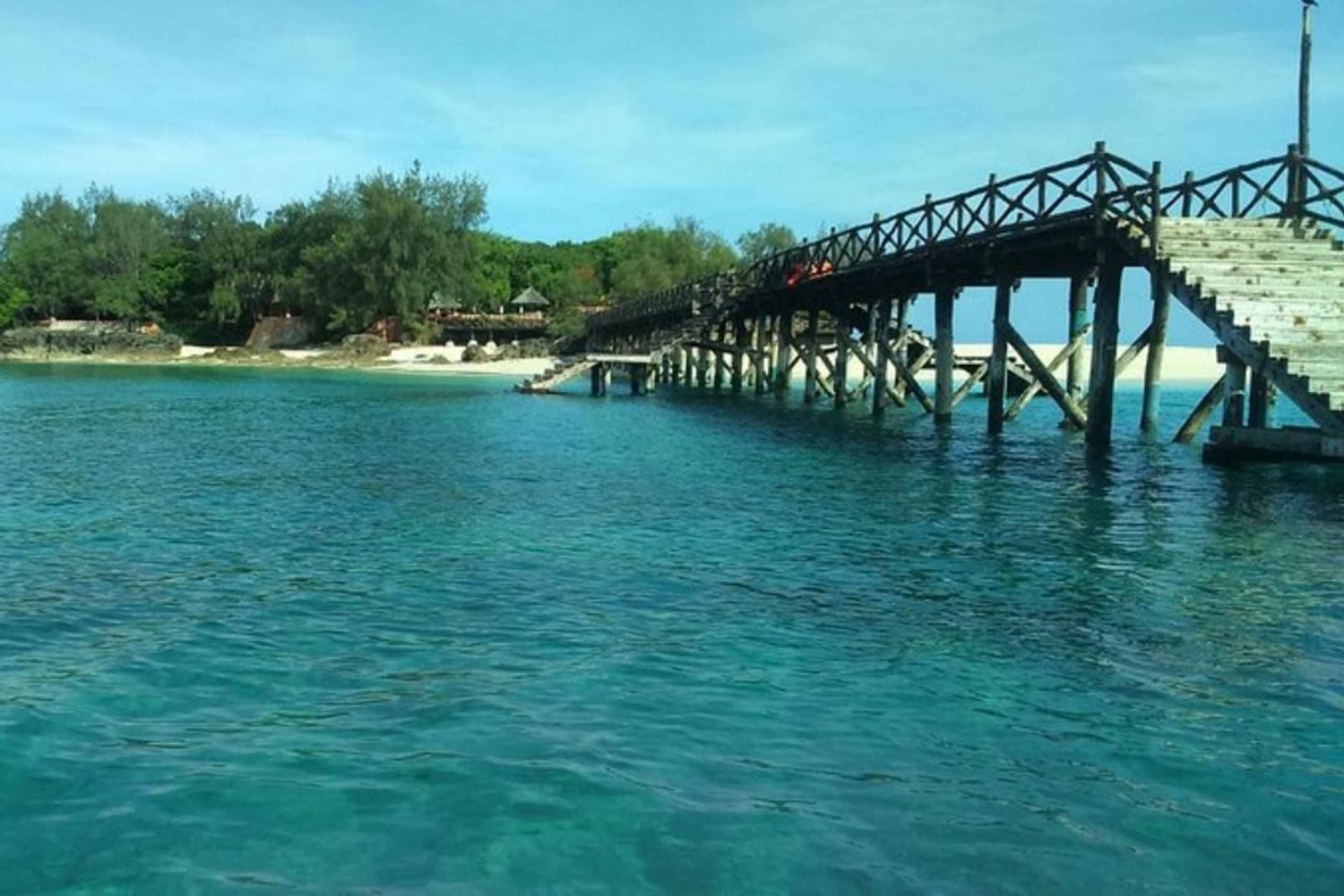 Zanzibar: foresta di Jozani, centro delle farfalle e tour del villaggio