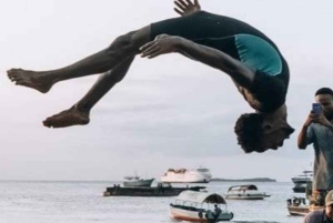 Zanzibar: foresta di Jozani, centro delle farfalle e tour del villaggio