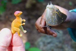 Zanzibar: Jozani-skoven, sommerfuglecenter og Salaam-grottetur