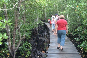 Zanzibar: Jozani-skoven, sommerfuglecenter og Salaam-grottetur
