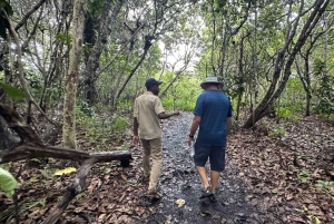Zanzibar: Jozani-skoven, sommerfuglecenter og Salaam-grottetur