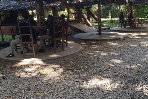 Zanzibar: Jozani-skoven, sommerfuglecenter og Salaam-grottetur