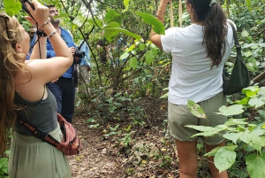 Zanzibar: Jozani-skoven, sommerfuglecenter og Salaam-grottetur