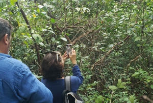 Zanzibar: Jozani-skoven, sommerfuglecenter og Salaam-grottetur