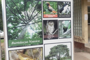 Zanzibar: Jozani-skoven, sommerfuglecenter og Salaam-grottetur